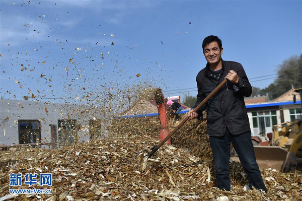 ĹԭԭͷӪʯ壬ڼӹǲݣ112㣩