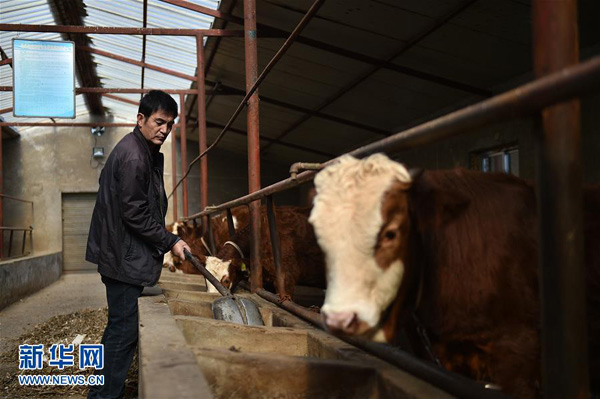 ĹԭԭͷӪʯ壬ţǲݣ112㣩