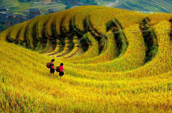 ũҵṹԸĸ˭ģʲôģ