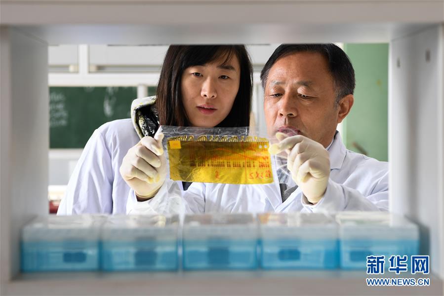 王清连:农业科技永远不能落后于人