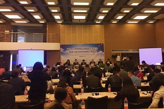 ڰ˽ȫũҵ֪ʶȨ̳ٿ