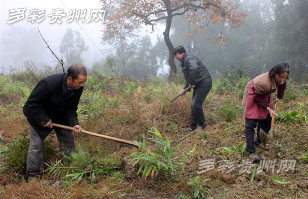 李东:双手托起创业致富梦