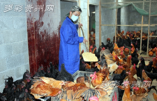 李东:双手托起创业致富梦