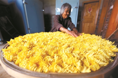 Τµĸڼаæղժľջ