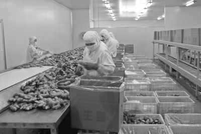 ×·ËÝÌåϵ½¨Éè¡°ÃæÃæ¹Û¡±