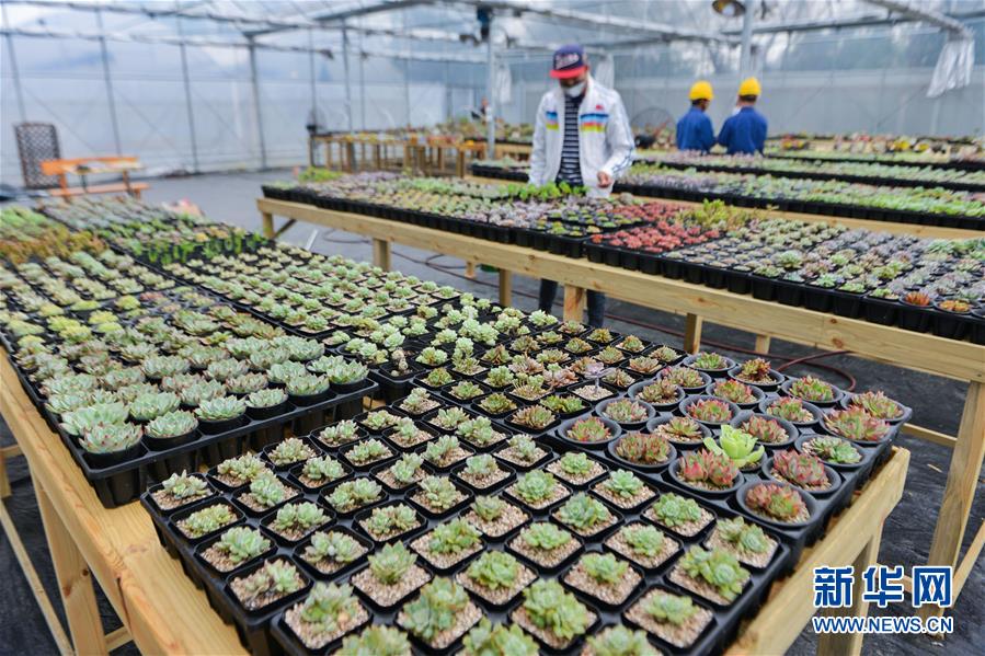 1124գϹߣԼ԰մտֲ