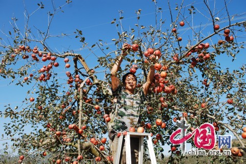 ͳֲġСƻ׺֦ͷȴʽ