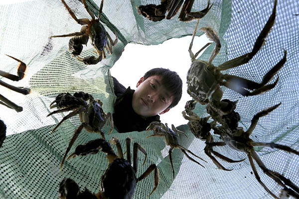 121գڽʡػзأзũѱڲ鿴еĴբз