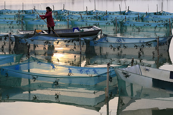 121գڽʡзأзũϼڲ̴բз