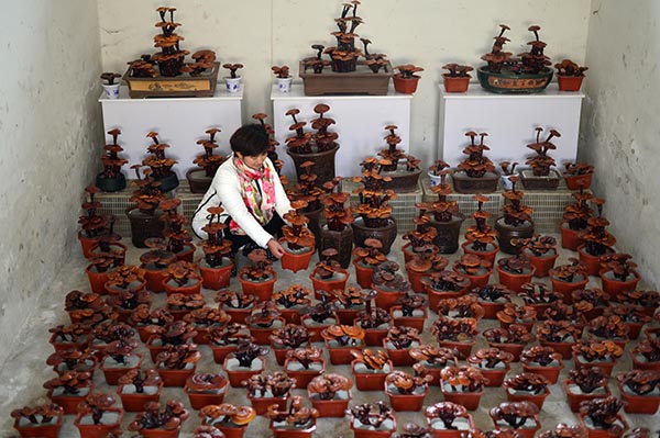 122գӱʡش־Ů淰ڷŸո֥辰