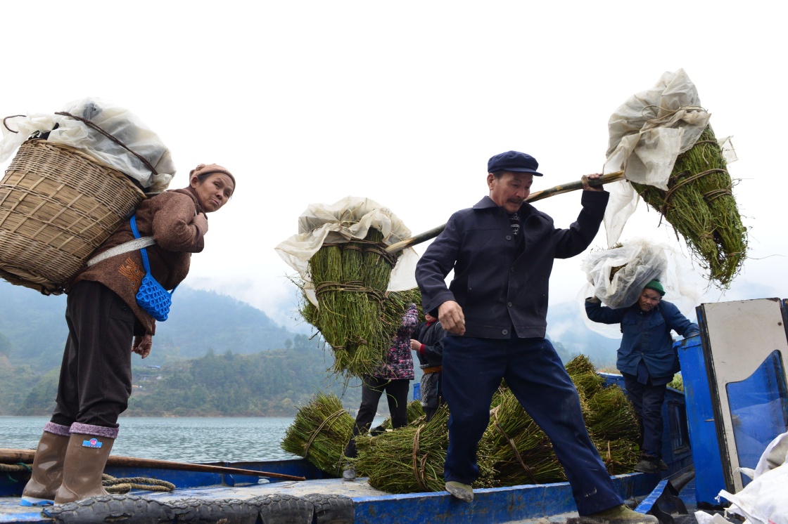 124գڹʡҩгֲ˴͹ǰۡ