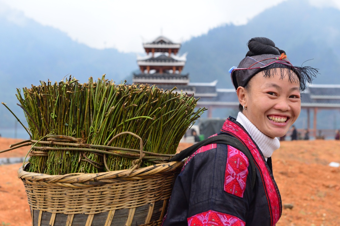 124գڹʡҩгֲ͹ǰۡ