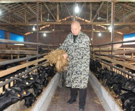 养羊专合社拉上贫困户 大家一起赚钱