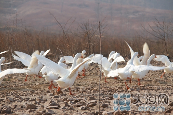 廪˶ʿнֳ ԭ̬ũƷ