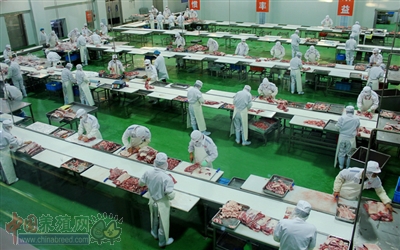 肉羊屠宰加工