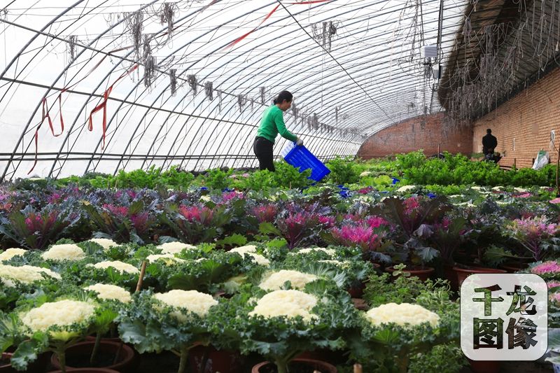 пׯ򣺡㡱ġˮƼ䡱