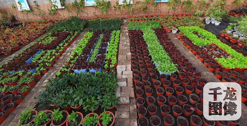 пׯ򣺡㡱ġˮƼ䡱