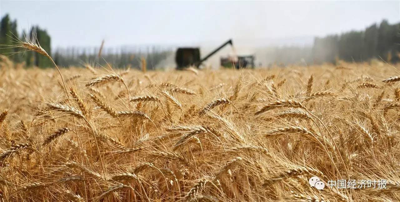 ǰհ2017йحʵƽũҵṹԸĸ