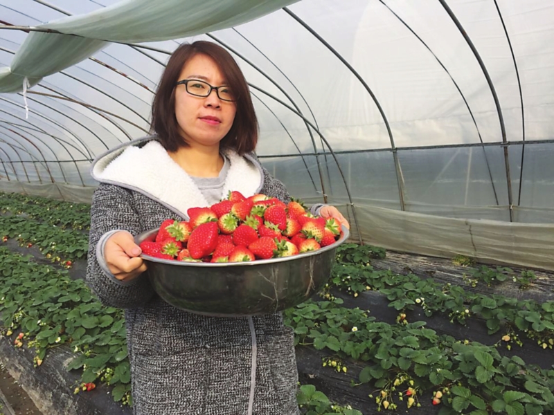 ͷҵͷСֲݮ ÿֱǰͿ