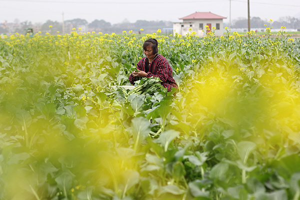 23գũںʡϪ߲˻زղ޷