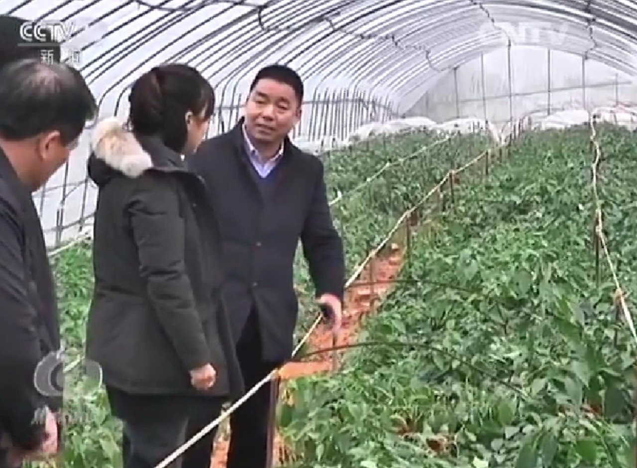 2017һļũҵչҪìʲôָô죿