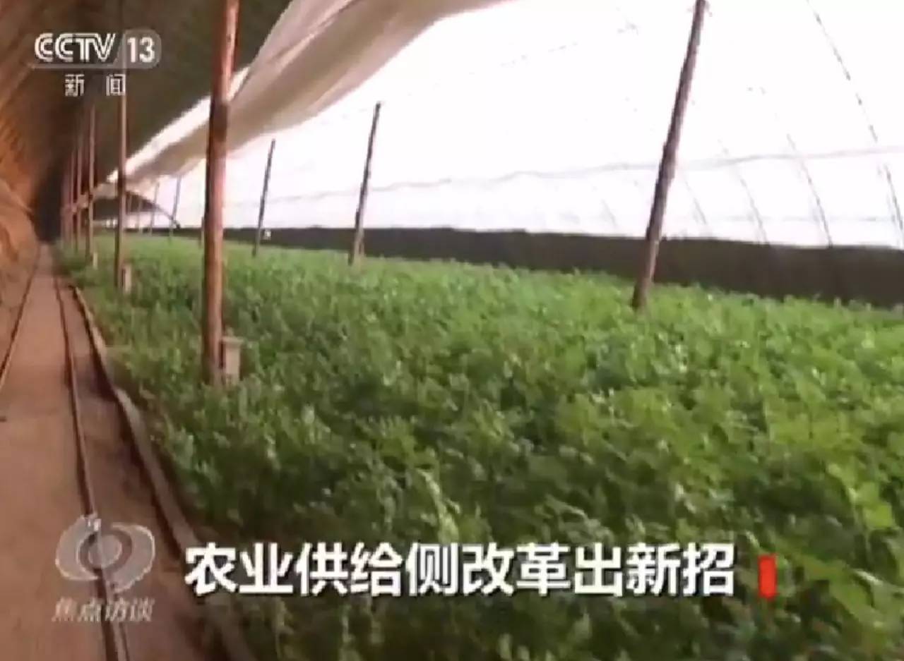 2017һļũҵչҪìʲôָô죿