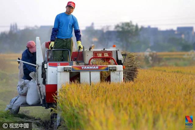 ذļ¯ ũ񽫳ΪĽְҵ