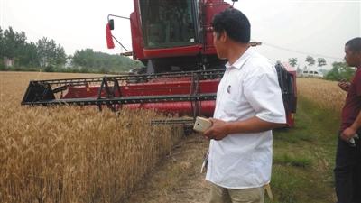 河南“种粮大王”柳学友在自家田间