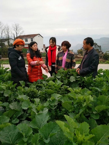 武隆庙垭乡:市级产业专家到场指导粮油产业技术