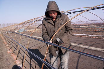 黑龙江:早字当头闹春潮