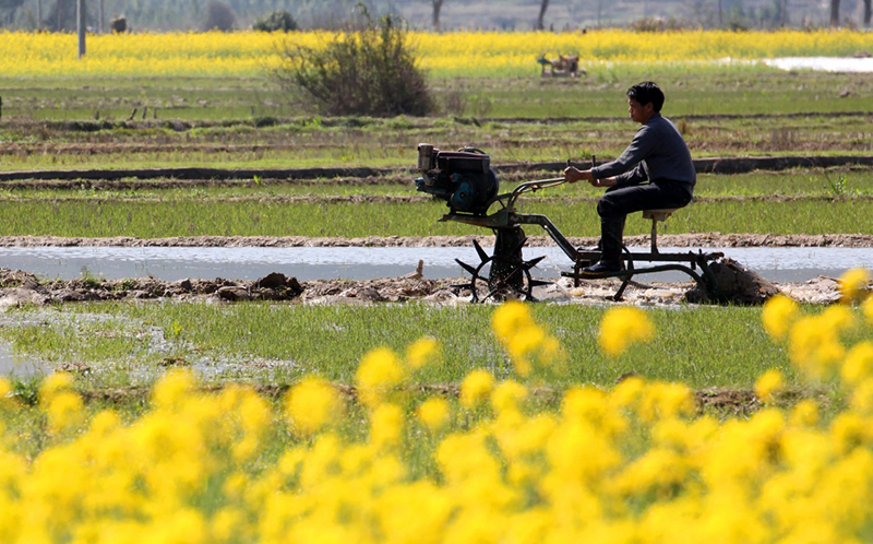 217գڽʡ߶Сˮһũڷˮ