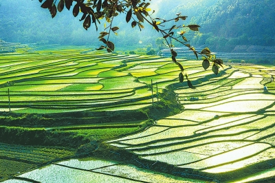 雨水时节 博奥晶典助力春耕