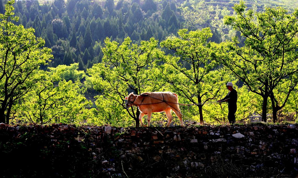 雨水时节 博奥晶典助力春耕