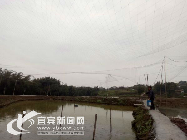 ũ紴ҵ ũڡ¸֮·