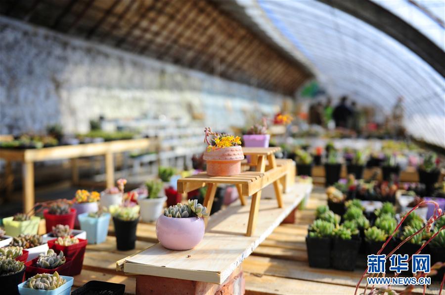 ú𽿵һ԰ﴺⰻȻ35㣩