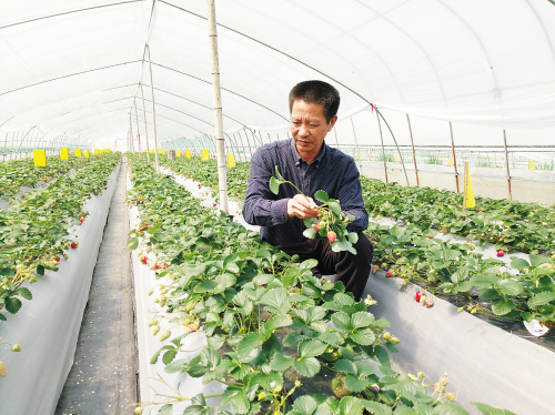 39գڻĶ壬ˮרҵ縺˳ڴæŲժݮ