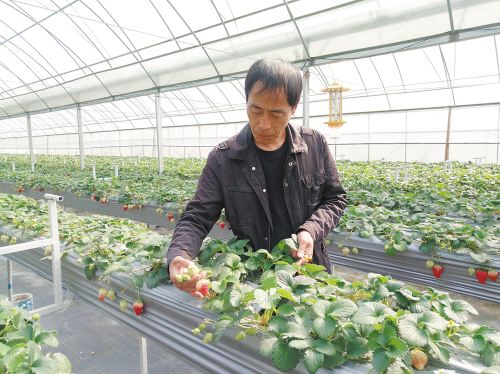 39գڻͷͷӴݮأ̨вũҵչ޹˾˹˽ڴڹ۲ݮ