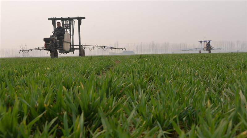 319գںӱر壬ũҵרҵֲԱôͻеΪСũҩ