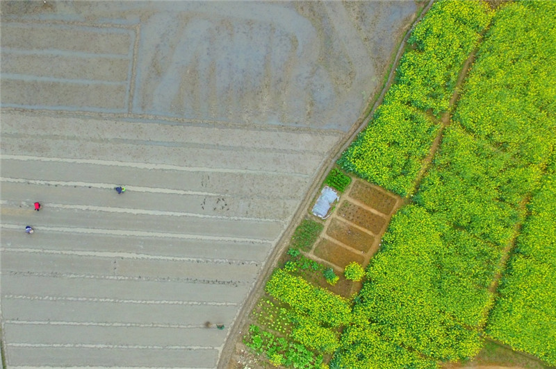 319գںʡ˫ؾ弯㣬䲥ȡ