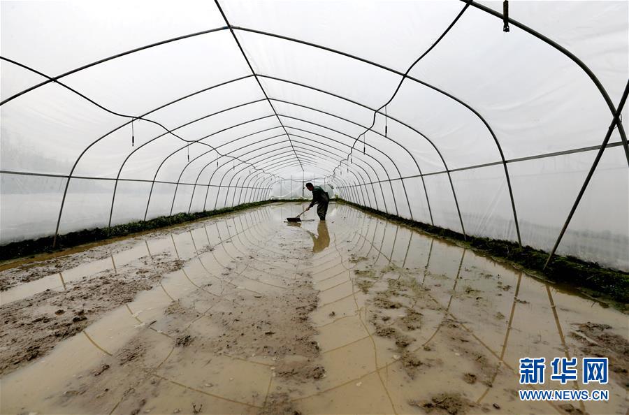 320գгһֲ߲أũڴء