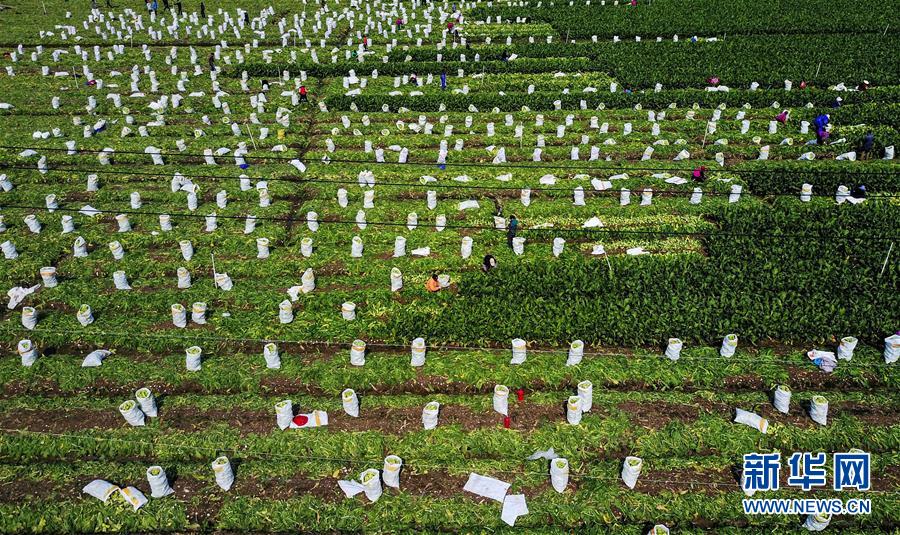 иեֲæµո327㣩