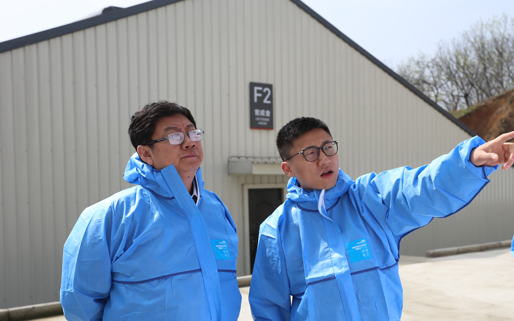 ͼעζCEO߽Ϊ˾⻷ϵͳ