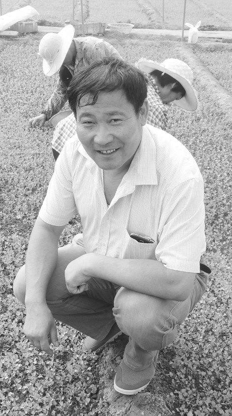 Ҳ³Կࡢ䣬׼˵һҪɳ