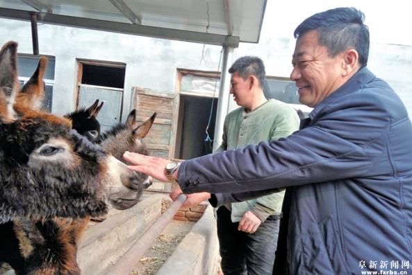 让小毛驴驮起致富大产业
