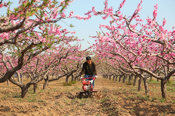 420գӱȷغʯׯũʹũ