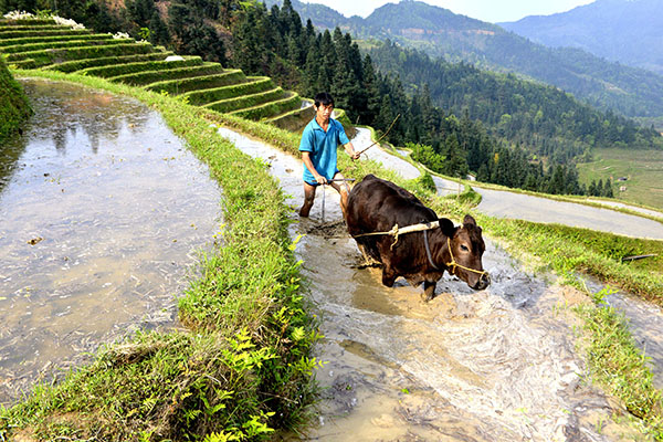 420գʡŽؼƻƻũ