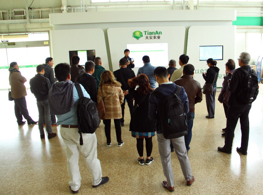 O2OĴȥF2Fģʽܷɫҵ»