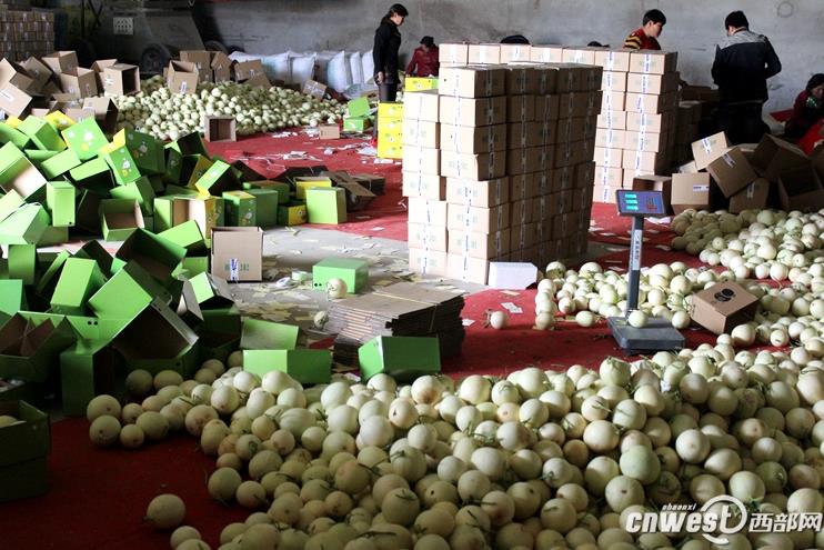 ֶաװֿ⣬õͨݷȫС