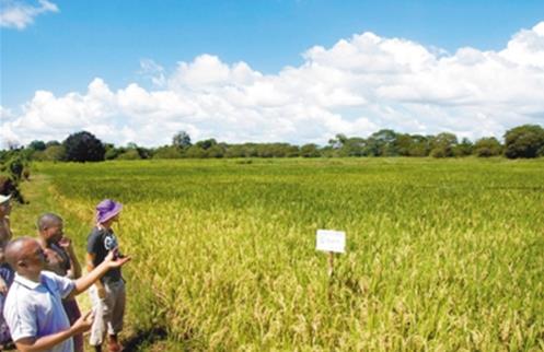 ͼΪ̹ɣũڲ鿴ʹйˮĵ