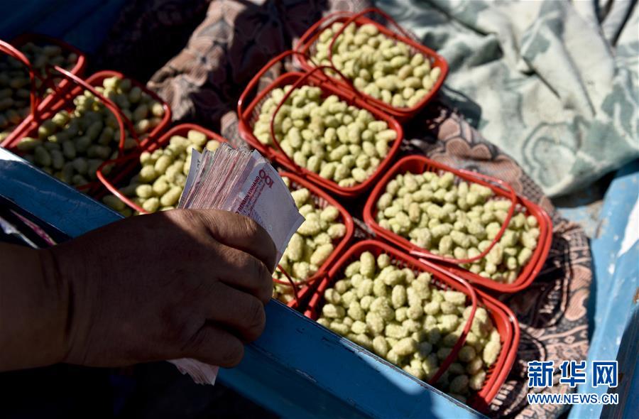 5月11日,在吐鲁番葡萄沟,阿山·斯马义准备拿钱付给桑农